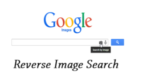 Reverse Image Search 1