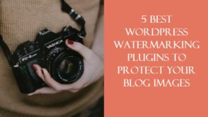 wordpress watermarking plugins
